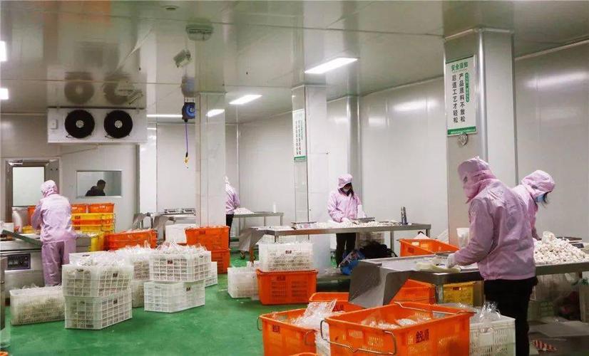 从同安到赤锡,永泰这个农产品加工厂越做越大!
